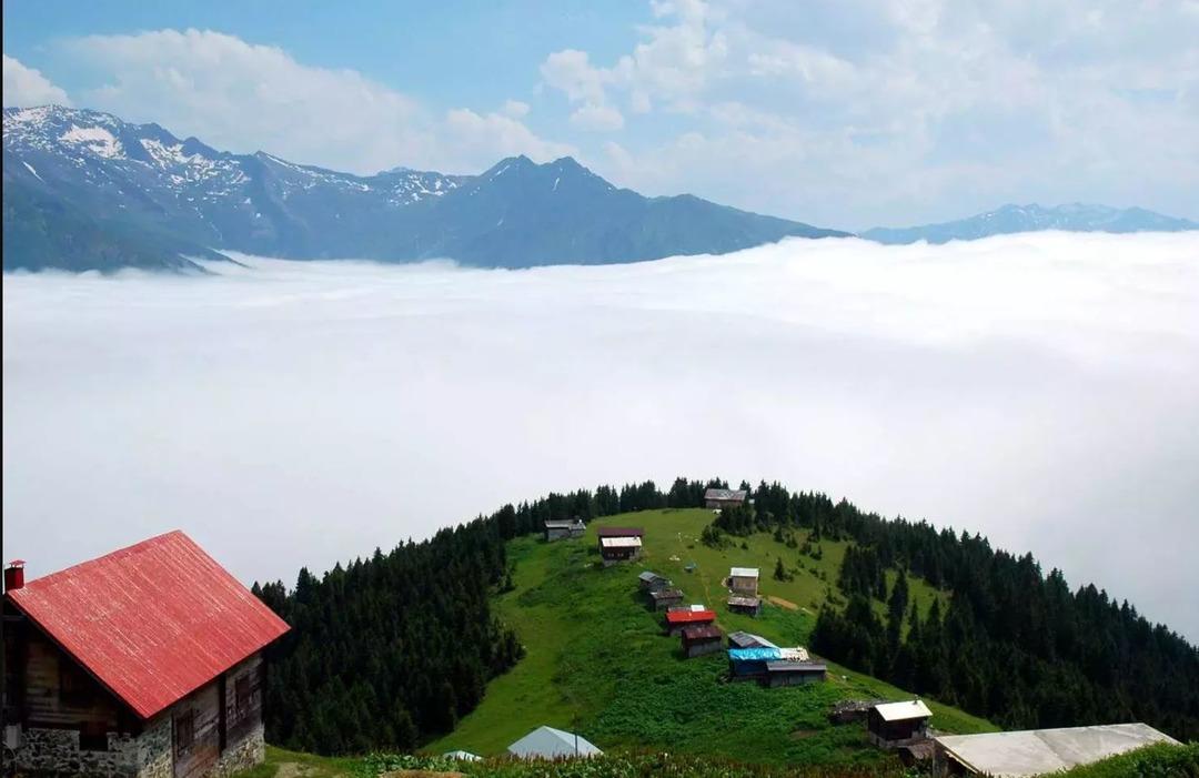 KARADENIZ’DE-KALP-HASTALARINA-YUKSEK-RA_730035_214710